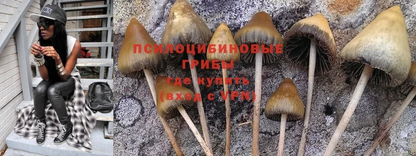 эйфоретик Краснотурьинск