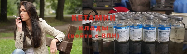 стаф Корсаков