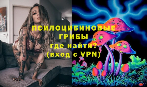 кокс Костерёво