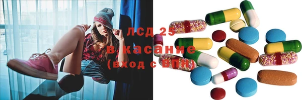 стаф Корсаков