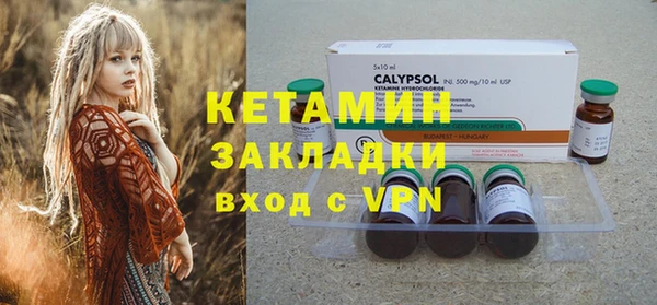 стаф Корсаков