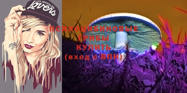 ECSTASY Краснослободск
