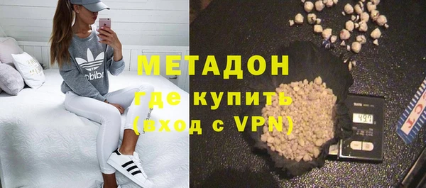стаф Корсаков