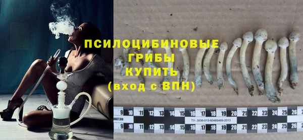 стаф Корсаков