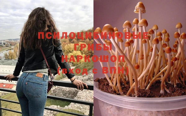 кокс Костерёво